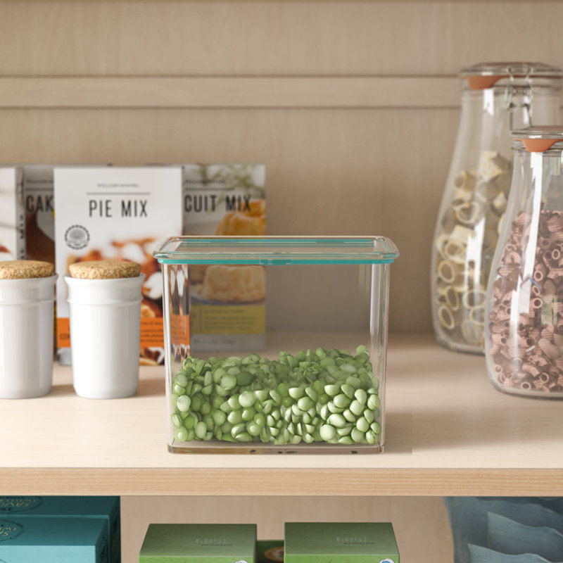 Dotted Line™ Clyde 64 Oz. Food Storage Container & Reviews Wayfair